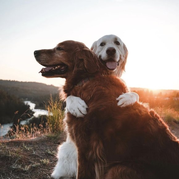 HAPPY VETERAN'S DAY EVERYDAY!! - Picture 8 of 16